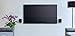 Sony SRSZR5 Wireless Speaker with Bluetooth/Wi-Fi,Black