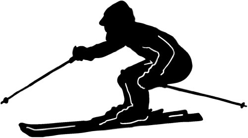 ski2 Vinyl Decal Sticker Wall Art 13.42 X 7.46 BLUE