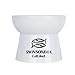Vencer Cat/Small Dogs Slow Feeding Bowls,Raised Cat Food/Water Bowl (High-Capacity) Elevated Cat Dog Dish,Pet Bowls for Cats or Small Dogs,VCB-002