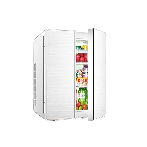 YANJ Car refrigerator,Portable Mini Fridge 12v 220v,Car Cooler Warmer Electric Fridge For Car And Home 25 L LOLDF1