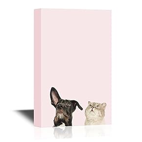 Peekaboo Animals Canvas Wall Art - A Dog and a Cat - Gallery Wrap Modern Home Art | Ready to Hang - 12x18 inches