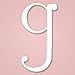 Heart to Heart Wooden Wall Letter Hanging Initials Letter: G