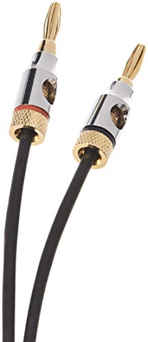 AmazonBasics-Speaker-Cable-with-Gold-Plated-Banana-Tips-CL2-999-Oxygen-Free-6-Foot