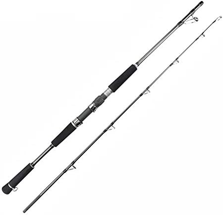 Judith Houston Lure Weight 80-250g Jigging Fishing Rod 1.68M 1.8M 15-35Lb Superhard Saltwater Carbon Fishing Spinning Rod