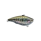 Yo-Zuri Rattl'n Vibe