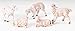 Fontanini by Roman Inc., White Sheep, 5
