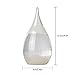 Pawaca Storm Glass,Water Drop Weather Forecast Barometer Crystal Home Office Decoration Birthday Christams Gift