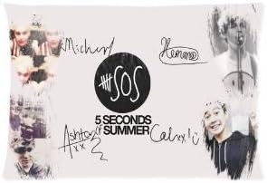 ZhouBrand Rock Band 5 Seconds of Summer 20 by 30 Inch Zippered Cotton And Polyester Rectangle Pillowcases Protector Case