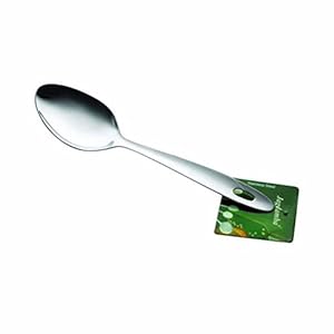 Shri and Sam Stainless Steel Pearl Basting Spoon, 25cm, Silver