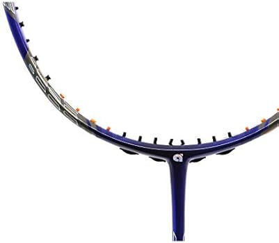 apacs z ziggler amazon