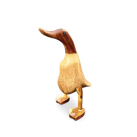 delightful contemporary Tall Standing wooden Duck looking straight ahead - carved from the roots of giant teak trees - 46cm tall!
