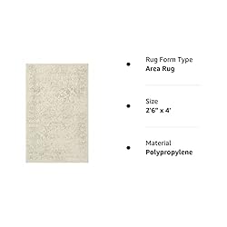 SAFAVIEH Adirondack Collection Accent Rug - 2'6" x