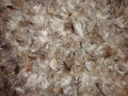Goose Down Feather Stuffing & Fill - Bulk 10lb Bag - 10/90 Natural Grey Down Mix Real Feather Mix for Filling, Repair, Restuffing Fluff to Couch Cushions, Pillows, Jackets, Bedding Products
