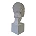 Torino Life Size Muscular Full Male Head Plaster Cast Mannequin, Great for Artists, Artistic piece, Color: White, Size: 8
