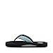 Teva Women's Mush II Flip Flop,Companera Blue,8 M US