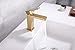 Gold Bathroom Faucet Single Handle with Supply Hoses,Solid Brass Body (Brushed Gold)