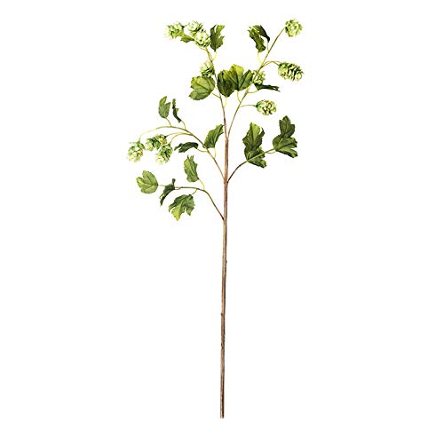 EUROCINSA Ref.62319C52 GREEN LUPO, Box of 12pcs, 97 cm