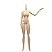 1/6 Scale Obitsu 10.6 inches Female Body 27BD-F06N PVC Bust M Size Natural Skin Color