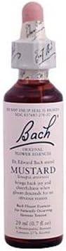 BACH MUSTARD, 20 ML by Bach Remedies