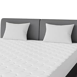 Queen Mattress Pad Protector by The