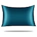 Yanibest Silk Pillowcase for Hair and Skin, Standard Queen King Pillow with Hidden Zipper, Soft Breathable Smooth Cooling Pillow for Sleeping