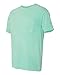 Comfort Colors Men's Garment-Dyed Pocket T-Shirt_Chalky Mint PgmDye_M