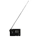 VR-robot Portable Shortwave Transistor Radio, AM/FM Stereo with MP3 Player, Recorder T-Flash Card, Sleep Timer (Black)