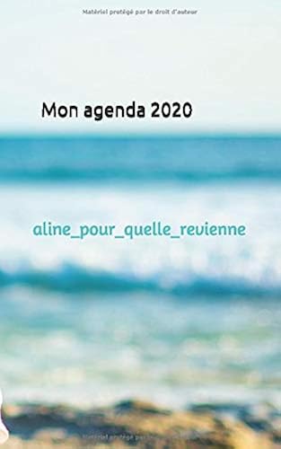 Download Mon Agenda 2020: @aline_pour_quelle_revienne PDF