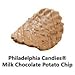 Philadelphia Candies Original Potato Chips, Milk Chocolate Covered 9 Ounce Gift Bag
