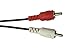 LEMENG 5 Pin Din Female to 2 RCA Male Professional Grade Audio Cable for Bang & Olufsen, Naim, Quad.Stereo Systems (1ft)