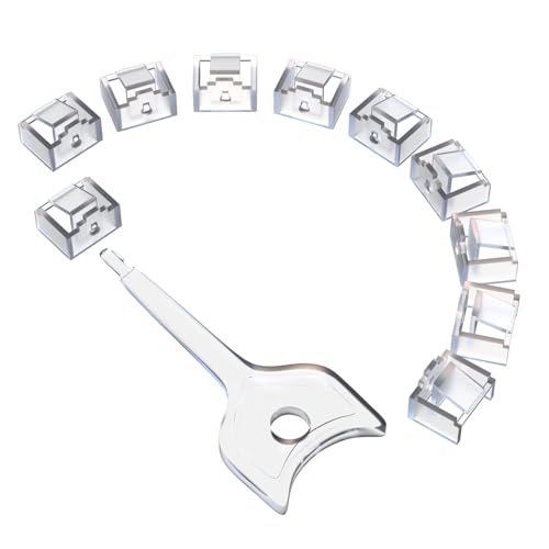 10Pcs RJ45 Port Lock Set with 1 Key - Locking RJ45 Port and Dust Blocker, Transparent Dust Cover Caps, Female Port Plug Protectors, Compatible with Computers, TVs, Routers, and Other RJ45 Devices