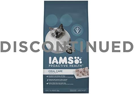 iams oral care dry cat food