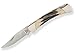 Buck Knives 055 Mini 110 Folding Hunter Stag Locking Pocket Knife The 55