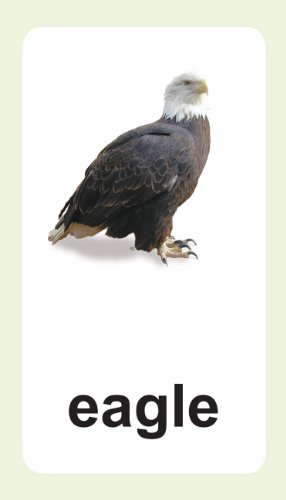 Animal Flash Cards with Fun Facts with Spanish and French Translations for each Animal By Flash of Brilliance