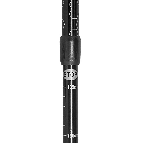 12 Survivors GeoPath Hiking Staff (Certified Refurbished)