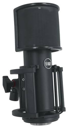 512 Audio Skylight Condenser Microphone