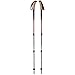 Black Diamond Trail Ergo Cork Trekking Poles