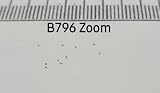 10x Blechnum Minus Fern Seeds - Garden Plants by Ipsa view 7
