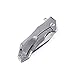 KIZER Cutlery Folding Pocket Knives Clip Point Blade Flipper Knife Frame Lock Titanium Handles Flipper Knife, Uprising Ki4491A1