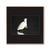 Framed Canvas Wall Art A Bird Standing on Canvas Prints Home Artwork Decoration for Living Room,Bedroom - 16x16 inches