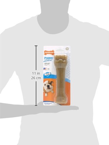 Nylabone Just for Puppies Souper Chicken Flavored Bone Puppy Dog Teething Chew Toy