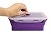 Aquiv Silicone Collapsible Lunch Container Box with Lid, Food Storage, Set of 4 Pcs, Purple