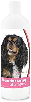 cavalier king charles hypoallergenic