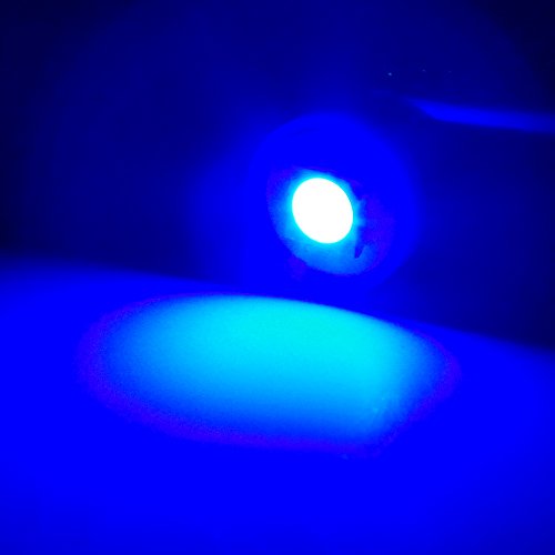 cciyu 10X 1895 BA9S LED Light Dash Instrument Panel Cluster Ash Tray Light Bulbs 1815 1816 182 1889 1891 1892 Replacement fit for Instrument panel Glove box License plate Boat cabin lamp Blue (blue)