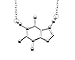Caffeine Molecule Necklace in Silver Tone Alloy by Silver Phantom Jewelry
