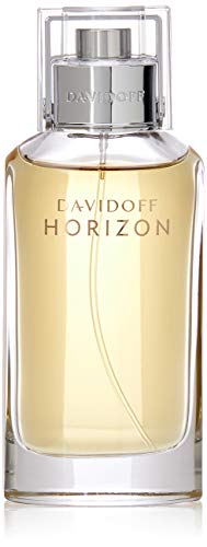 Davidoff Horizon M Eau De Toilette 75ml Perfume Desertcart INDIA