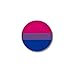 CafePress Bisexual Pride Flag 1