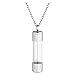 Jovivi Stainless Steel Acrylic Openable Container Tube Urn Keepsake Cremation Ashes Memorial Pendant Necklace
