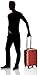 Samsonite Omni PC Hardside Expandable Luggage with Spinner Wheels, Burnt Orange, Carry-On 20-Inch