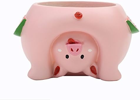 Youfui Cute Succulent Flowerpot for Home Decoration Gift (Pig), Middle - Image 3